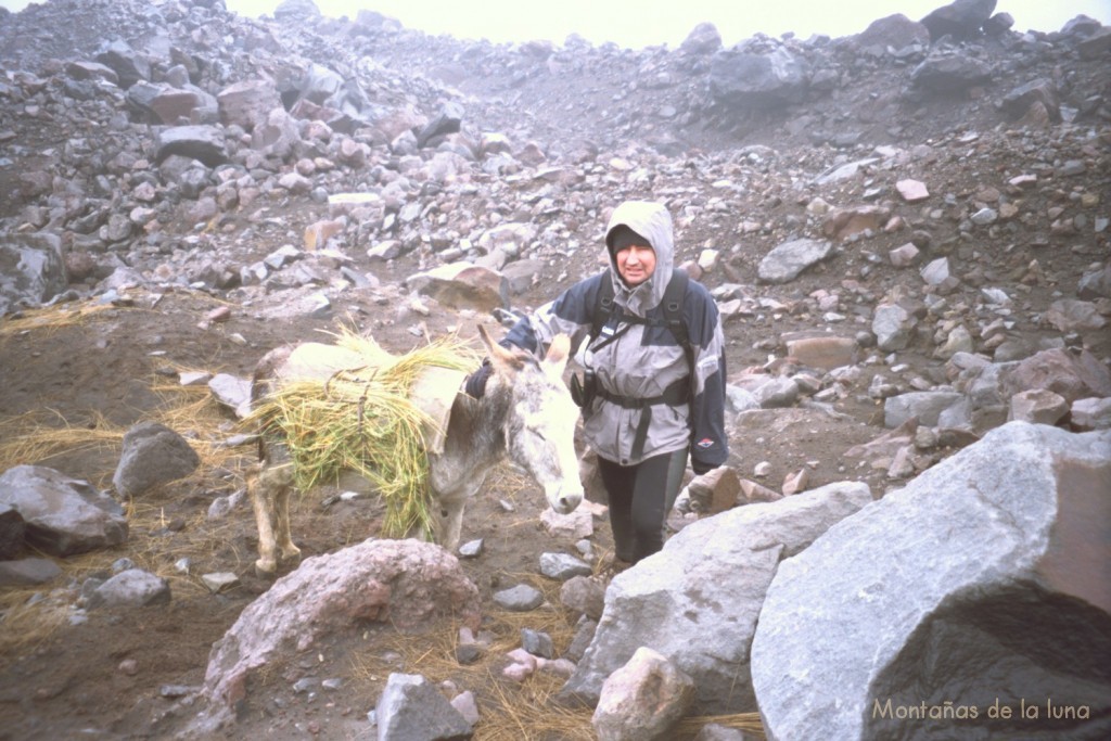 Joaquín junto al burrito donde se cargan el hielo en las morrenas del Chimborazo
